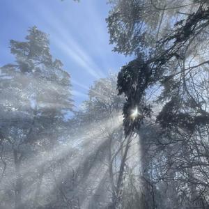 欧美老女人操屄网
